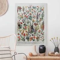 Bilderwelten Leinwandbild Vintage Lehrtafel Blumen IV