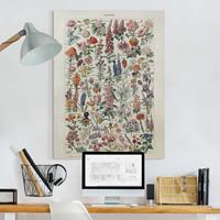 Bilderwelten Leinwandbild Vintage Lehrtafel Blumen V