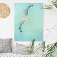 Bilderwelten Leinwandbild Blauer Himmel mit Möwe
