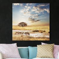 Bilderwelten Leinwandbild Afrika - Quadrat Das Leben der Zebras