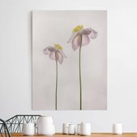 Bilderwelten Leinwandbild Blumen - Hochformat Rosa Anemonenblüten