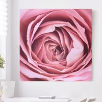 Bilderwelten Leinwandbild Blumen - Quadrat Rosa Rosenblüte