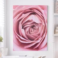 Bilderwelten Leinwandbild Blumen - Hochformat Rosa Rosenblüte