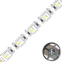 EVN SB2024150509902 LED-Streifen EEK: F (A - G) 24 V/DC 5.00m RGBW