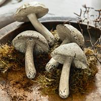 LOBERON Paddenstoel set van 4 Laval