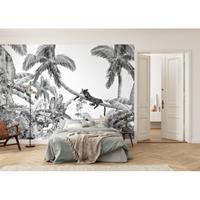 Praxis Komar fotobehang Black Panther 350x250cm