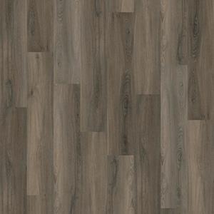 Ambiant Avanto click SRC dark grey
