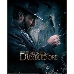 Fantastic Beasts The Secrets Of Dumbledore Dumbledore Watch Kunstdruk 40x50cm