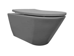 Wiesbaden Stereo rimless toilet met Vesta toiletzitting 53 mat grijs