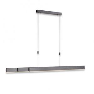 Paul Neuhaus Hanglamp e-Slide L 120-200 cm donker grijs