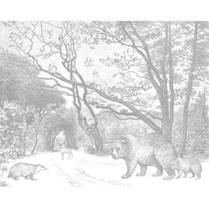 Esta Home Forest Friends - 159065