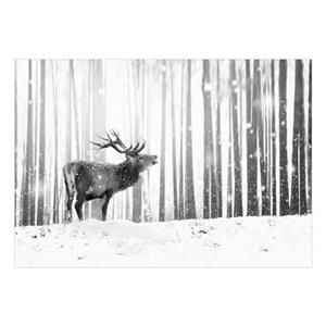 Artgeist Deer in the Snow Black and White Vlies Fototapete