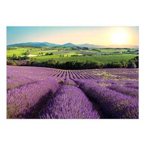 Artgeist Lavender Field Vlies Fototapete
