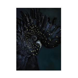 artforthehome Fototapete Vliestapete Exotic Bird 280x200cm