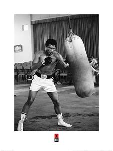 Muhammad Ali Punch Bag Kunstdruk 60x80cm