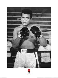 Muhammad Ali Pose Kunstdruk 60x80cm