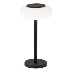 Q-Smart-Home Paul Neuhaus Q-ETIENNE LED tafellamp, zwart