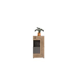 xonox.home Mehrzweckschrank »Freno« (Vitrine 1-türig, 60 x 118 cm) Basalt grau und Eiche