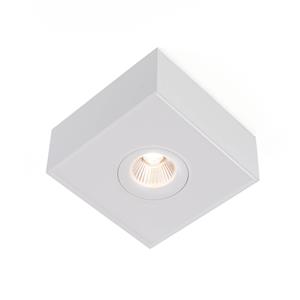 The Light Group SLC DL04 Surface X1 opbouwlamp 2.700K wit