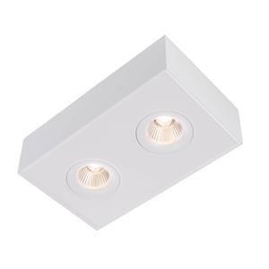 The Light Group SLC DL04 Surface X2 opbouwlamp 3.000K wit
