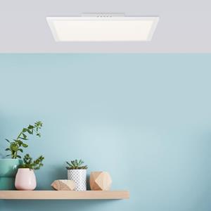 Brilliant Jacinda LED Deckenleuchte mit Dimmer und CCT, G99829/75