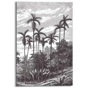 Wandpaneel Charcoal Palmbomen - zwart - 60x90 cm
