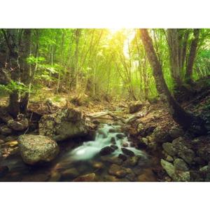Papermoon Fototapete »Forest Creek«, glatt