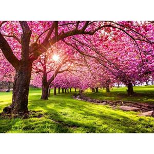 Papermoon Fotobehang Cherry Tree Blossom
