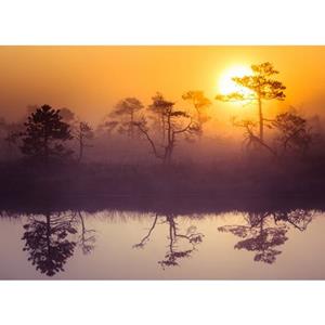 Papermoon Fotobehang Misty Morning Scenery