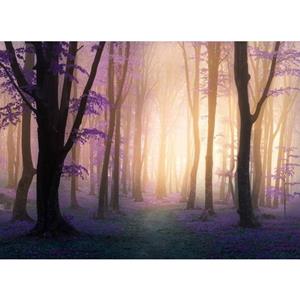 Papermoon Fototapete »Mystic Fogga Forest«, glatt