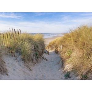 Papermoon Fotobehang Dunes in Bretagne