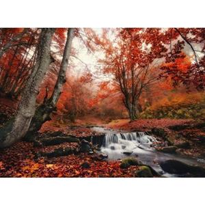 Papermoon Fototapete »Foggy Forest Creek«, glatt