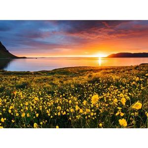 Papermoon Fotobehang Flower Field Kirkjufell Iceland