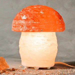Wagner Life Design Zoutlamp paddenstoel