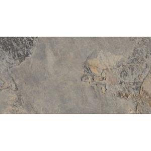 Praxis Wand- en vloertegel Ardesia grijs 32x62,5cm