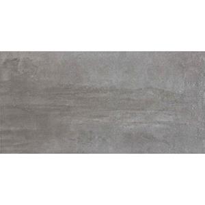 Praxis Wand- en vloertegel Grunge grijs 30x60cm