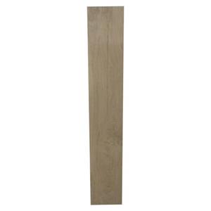 Praxis Tegel Wood Honey 20x120cm 0,96m²