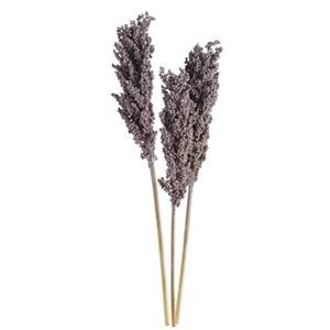 Droogbloemen Indian Corn - lavendelkleur - 72 cm