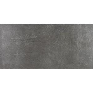 Praxis Vloertegel Ice Grey Silver keramisch 31x62cm