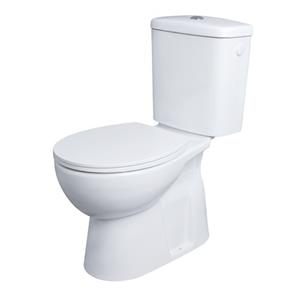 AquaVive duoblok toilet Avisio I AO aansluiting I Randloos toiletpot wit