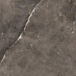 Douglas & Jones Vloertegel  Magnum 120x120 cm Marmerlook Gerectificeerd 6 mm Mat Brown 