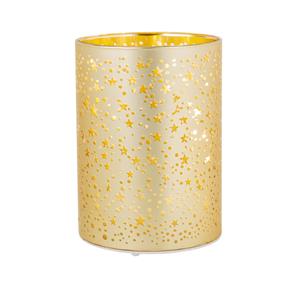 Shoppartners 1x Stuks Led Kaarsen Sterren Kaars Goud D9 X H12 Cm ed Kaarsen