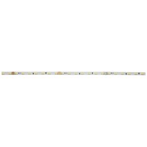 dekolight Deko Light 840350 LED-Streifen EEK: E (A - G) mit offenem Kabelende 24 V/DC 5000mm Warmweiß, Kaltwe