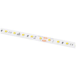 Barthelme LEDlight flex 12 10 LITE 1000, Rolle 500cm 50414233 LED-Streifen 24V 500cm Warmweiß