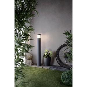 dekolight Deko Light Ortis 733004 Staande buitenlamp LED LED vast ingebouwd 15.90 W Energielabel: G (A - G) Donkergrijs