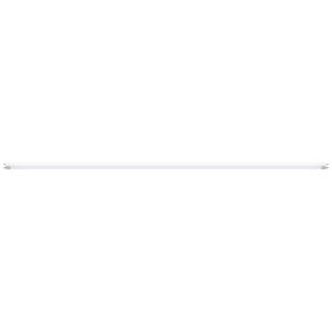 Paulmann LED-Buis Energielabel: F (A - G) G13 22 W Warmwit (Ø x h) 28 mm x 1514 mm 1 stuk(s)