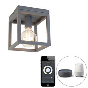 QAZQA Industrielle smarte Deckenleuchte dunkelgrau inkl. Wifi G95 - Cage