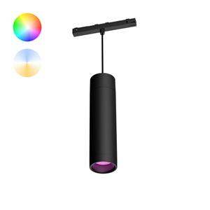 Philips Hue Perifo - White and color uitbreiding hanglamp zwart 929003115901