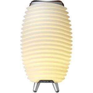 KOODUU Staande ledlamp Synergy 35