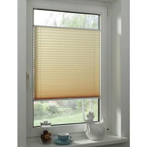 Plissee Gardinia Plissee Concept Tageslicht, mit 2 Bedienschienen, beige 80 x, GARDINIA